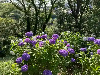 天台宗　長窪山　正覚寺(神奈川県)