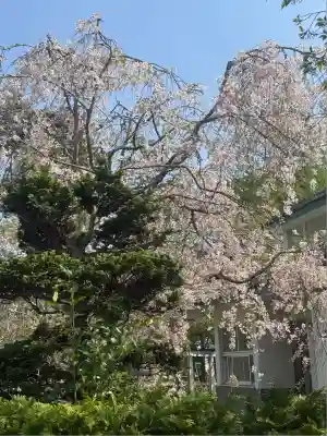 荒雄神社(宮城県)