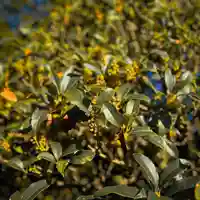 伊勢の国 四天王寺(三重県)