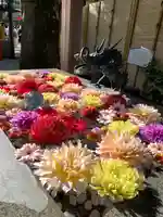 蛇窪神社の手水舎