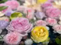 発寒神社の手水舎