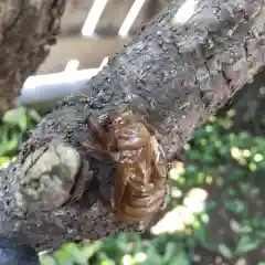 七重浜海津見神社(北海道)