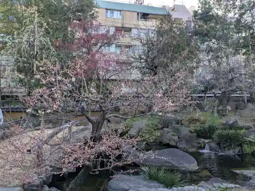 湯島天満宮(東京都)