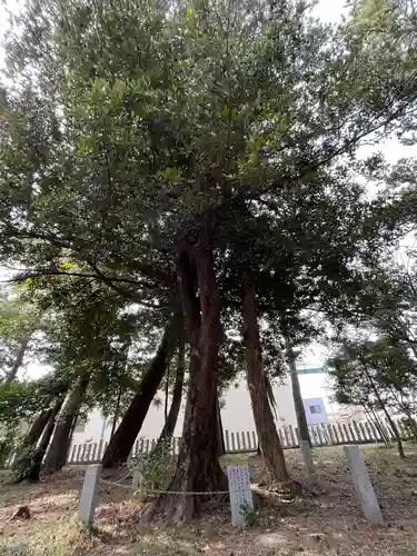 結神社の自然