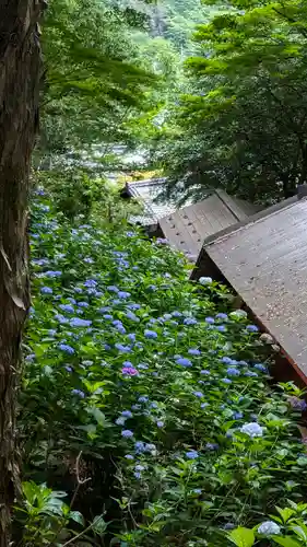 柳谷観音　楊谷寺(京都府)