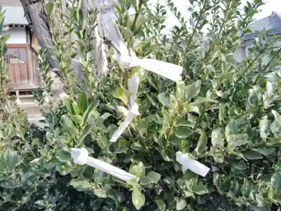 三俣神社(群馬県)