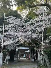 大木神社(三重県)