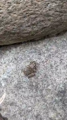 八王子社の自然