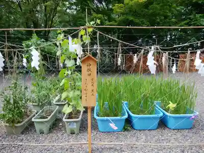 上川神社のその他建物
