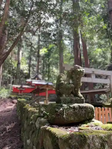 室生龍穴神社(奈良県)