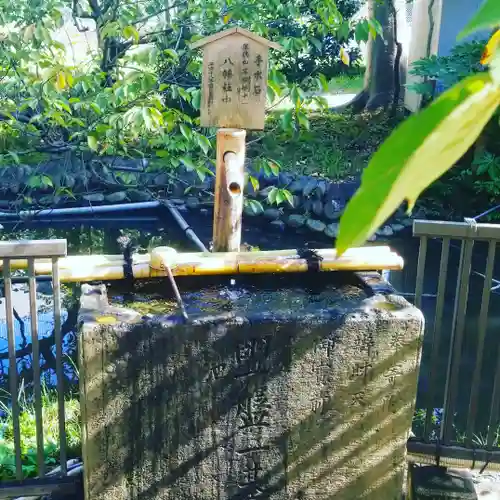 富岡八幡宮の手水舎