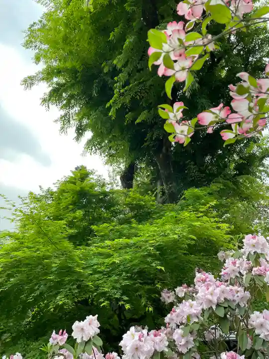 東長谷寺 薬王院(東京都)