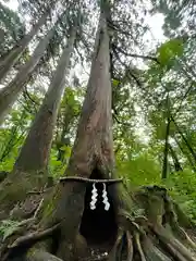 戸隠神社九頭龍社(長野県)