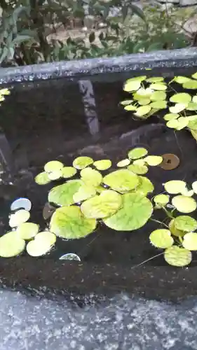行田八幡神社の手水舎