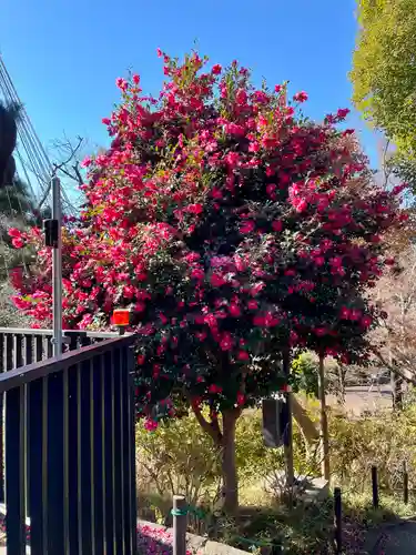 清水観音堂(東京都)