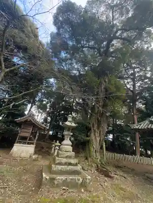 大歳神社(兵庫県)