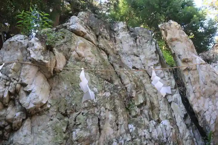 鹿島大神宮の自然