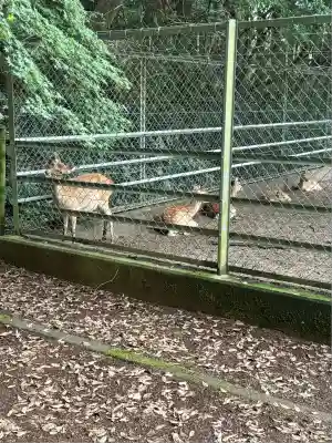 鹿島神宮(茨城県)