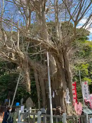 海南神社(神奈川県)