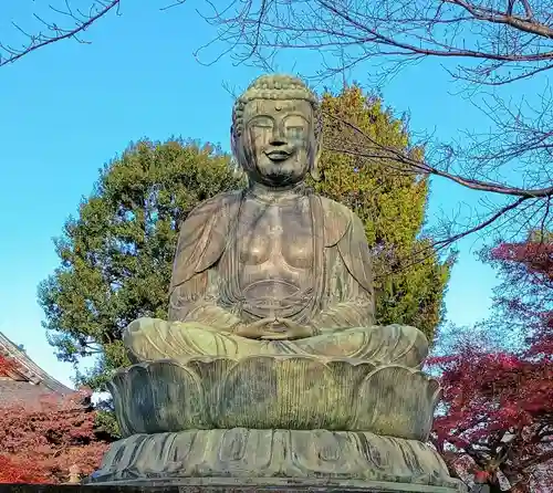 護国寺(東京都)