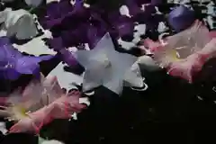 鹿島大神宮の手水