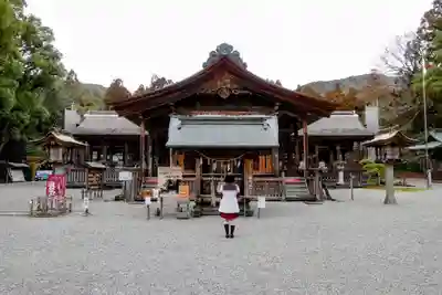 土佐神社の本殿・本堂