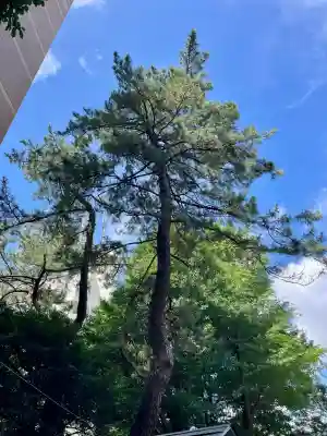 上目黒氷川神社(東京都)