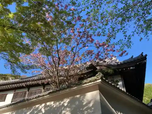 円覚寺の{uncategorized: "未分類", other: "その他", undefined: "問題あり", building: "その他建物", grave: "お墓", sacred_gate: "鳥居", guardian: "狛犬", statue: "像", buddha: "仏像", history: "歴史", nature: "自然", garden: "庭園", animal: "動物", pagoda: "塔", temizu: "手水舎", mountain_gate: "山門・神門", sanctuary: "本殿・本堂", subordinate: "末社・摂社", art: "芸術", scenery: "景色", jizo: "地蔵", ema: "絵馬", goshuin: "御朱印", omikuji: "おみくじ", items: "授与品その他", amulet: "お守り", goshuincho: "御朱印帳", eats: "食事", festival: "お祭り", votive_dance: "神楽", shichigosan: "七五三参", wedding: "結婚式", experience: "体験その他", initially: "初詣", around: "周辺", anti_infection: "感染症対策"}