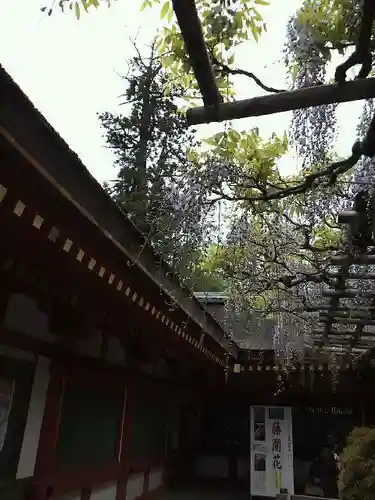 春日大社のその他建物