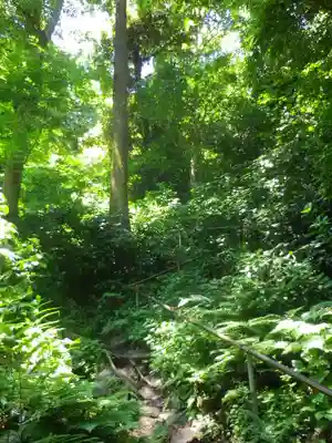 佐助稲荷神社の自然