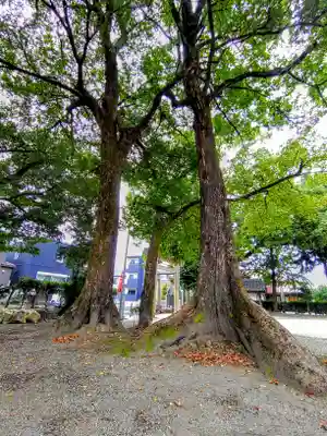 貴船社（貴船町）の自然