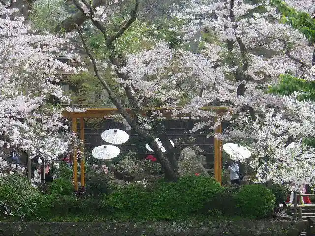 鶴岡八幡宮の庭園