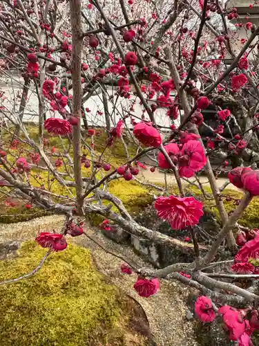 岩津天満宮(愛知県)