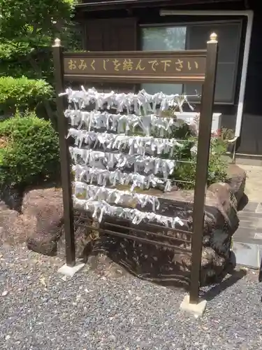 縣神社のおみくじ