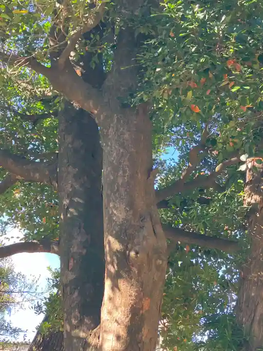 結神社(岐阜県)
