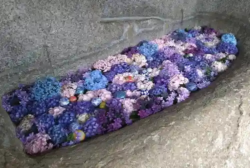 長命寺(東京都)