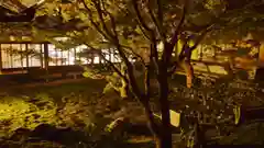 妙覺寺（妙覚寺）の庭園