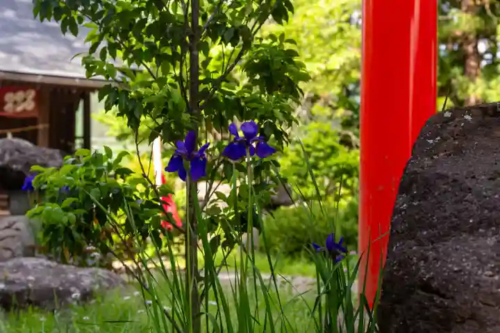 山家神社(長野県)