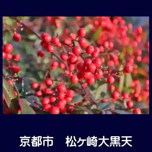 松ヶ崎大黒天 妙圓寺(妙円寺)(京都府)