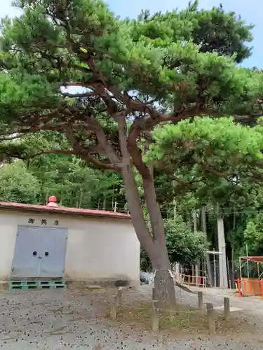 加茂神社(岩手県)