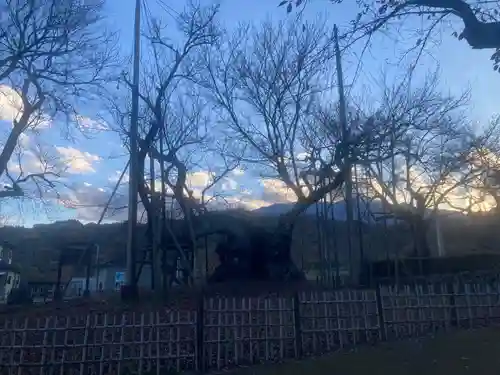 実相寺(山梨県)