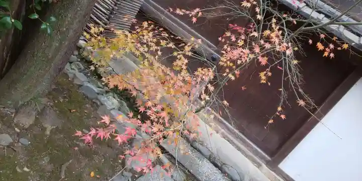 賀茂御祖神社(下鴨神社)(京都府)