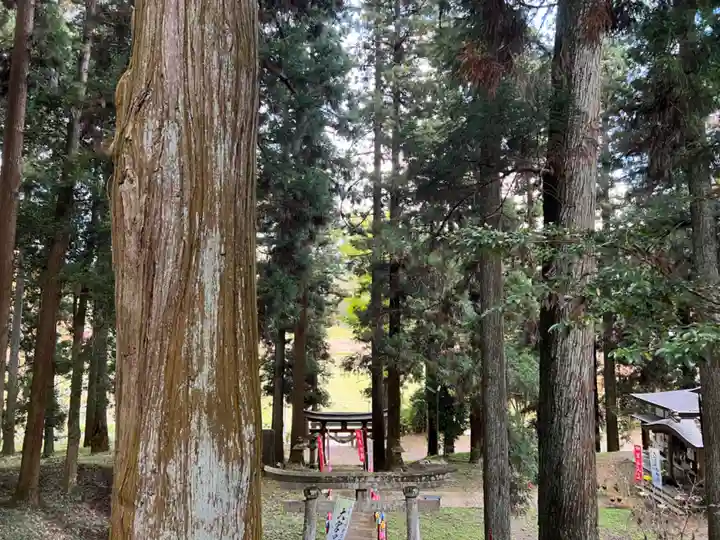 大宮温泉神社(栃木県)