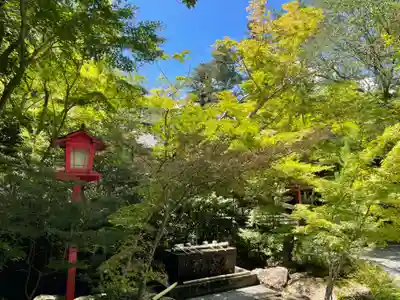 鍬山神社(京都府)