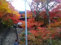 播州清水寺の自然