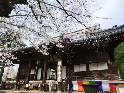 寛永寺(根本中堂)の本殿・本堂