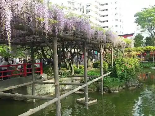 亀戸天神社(東京都)