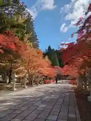 高野山金剛峯寺奥の院(和歌山県)