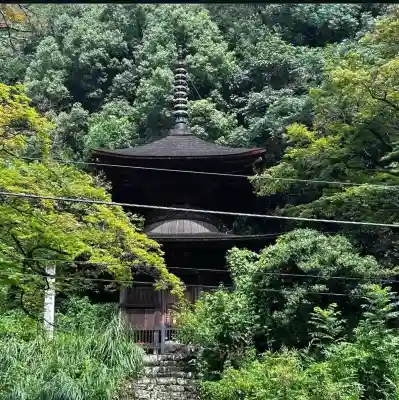 武蔵二宮 金鑚神社(埼玉県)