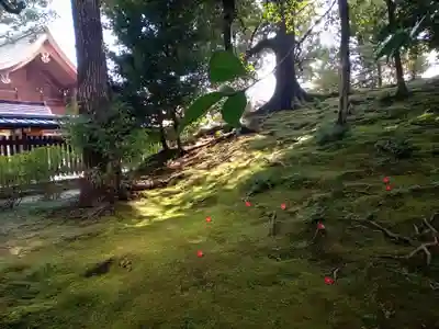 城南宮(京都府)